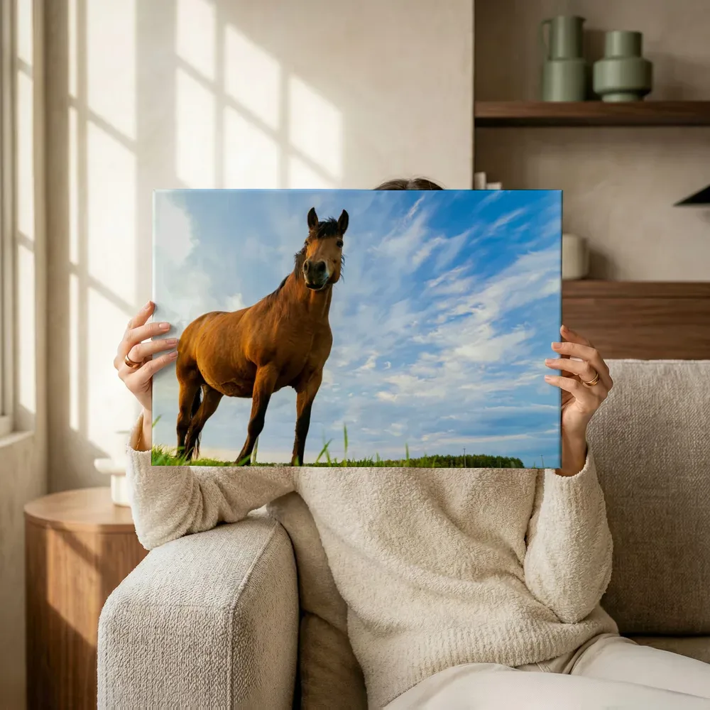 Sfeerimpressie: Paard tegen blauwe lucht terwijl het omhoog wordt gehouden