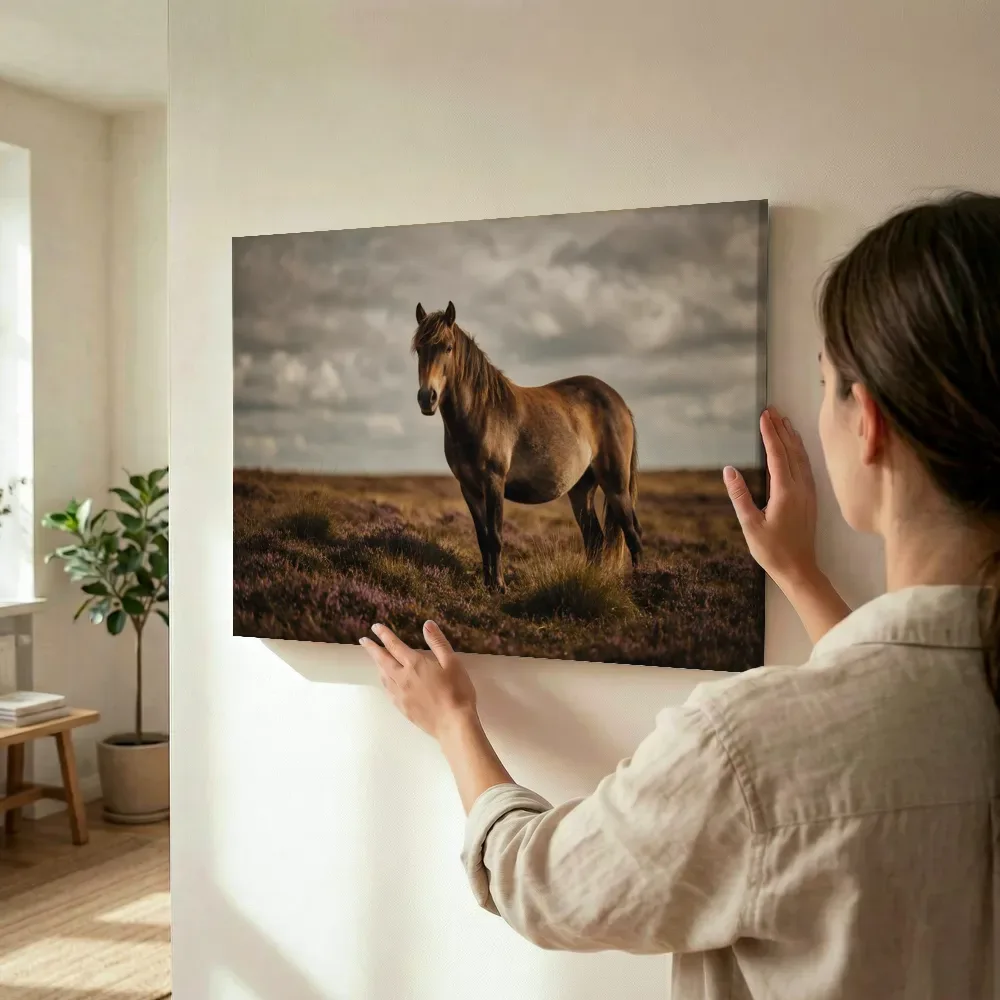 Sfeerimpressie: Paard van onderaf, een zacht bewolkte hemel terwijl het wordt opgehangen