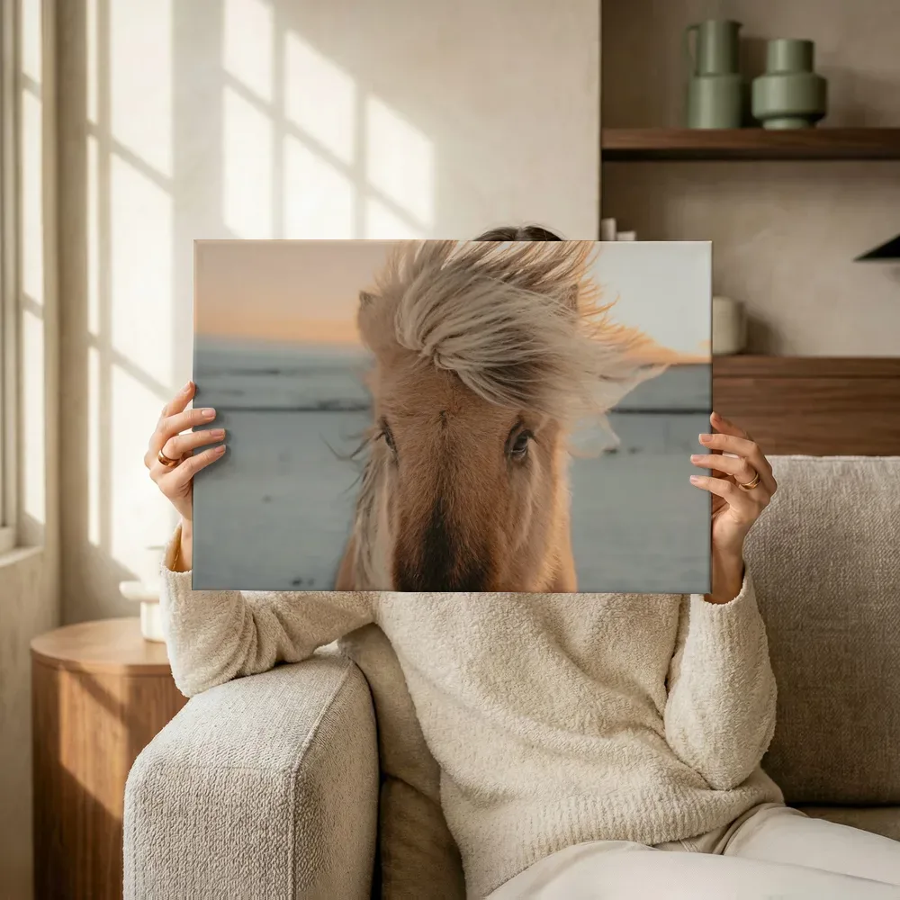 Sfeerimpressie: Paard met wapperende manen bij zonsondergang terwijl het omhoog wordt gehouden