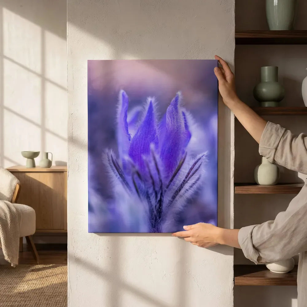 Sfeerimpressie: Paarse wilde anemoon in close-up naast de kast