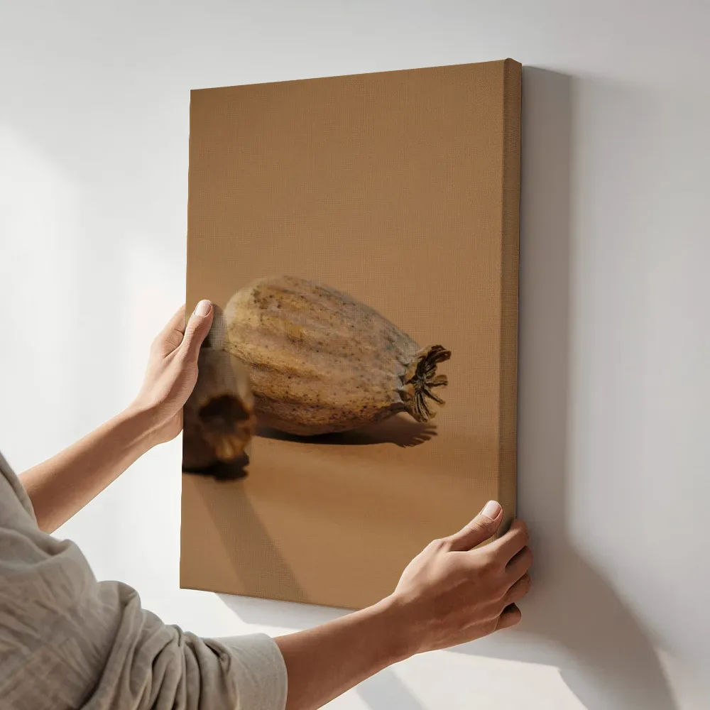 Sfeerimpressie: Uitgebloeide papaverbollen in close-up terwijl het aan de muur wordt gehangen