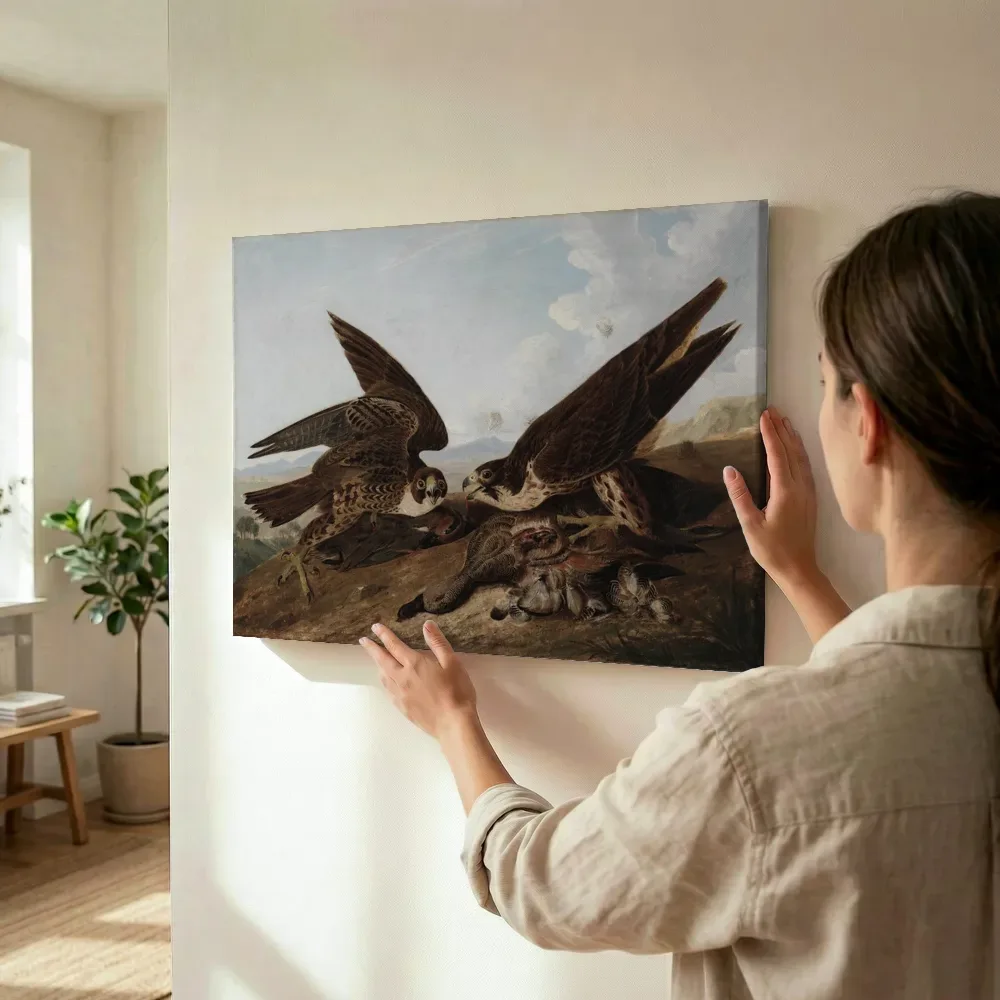 Sfeerimpressie: Peregrine Falcons (Duck Hawks) van John James Audubon terwijl het wordt opgehangen