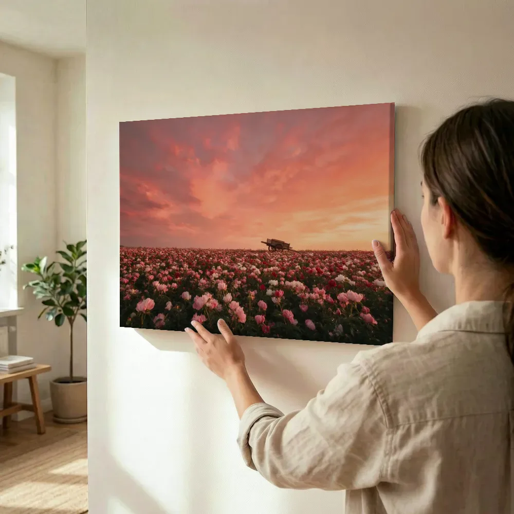 Sfeerimpressie: Pioenroos bij de zonsondergang 5 terwijl het wordt opgehangen