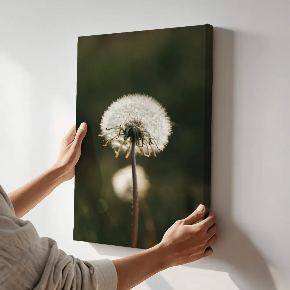 Sfeerimpressie: Pluizige paardenbloem in het gras terwijl het aan de muur wordt gehangen