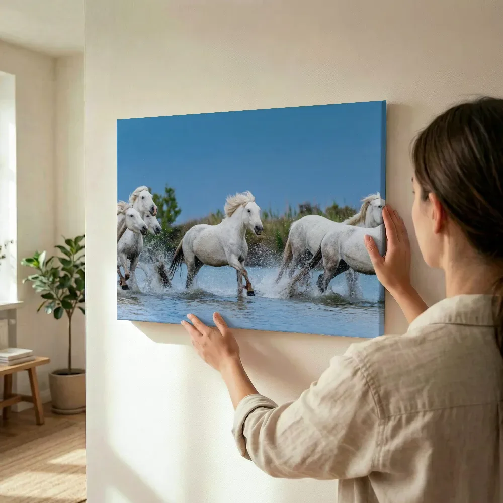 Sfeerimpressie: Rennende witte paarden in het water terwijl het wordt opgehangen