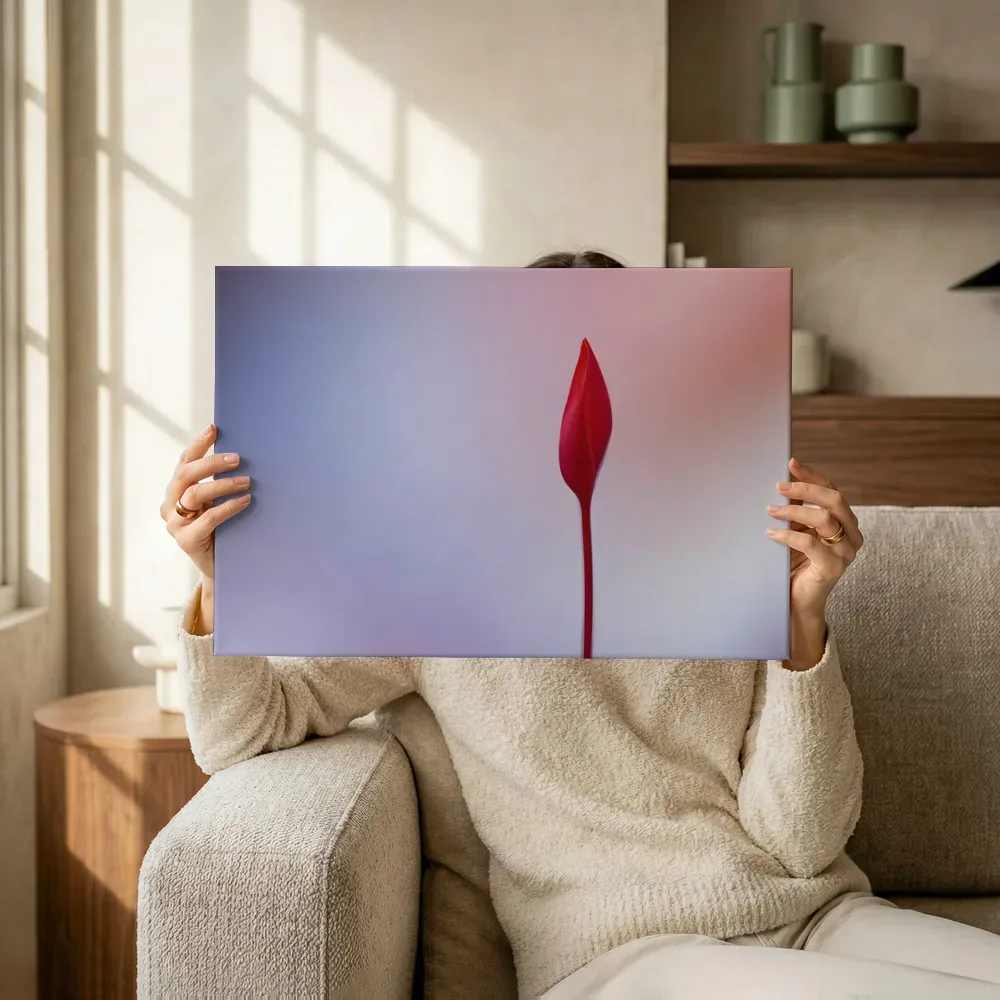 Sfeerimpressie: Rode bloemknop in pastel waas terwijl het omhoog wordt gehouden