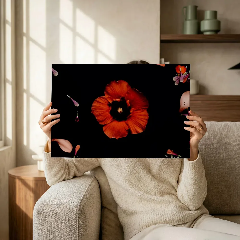 Sfeerimpressie: Rode hibiscus met verspreide bloemblaadjes terwijl het omhoog wordt gehouden