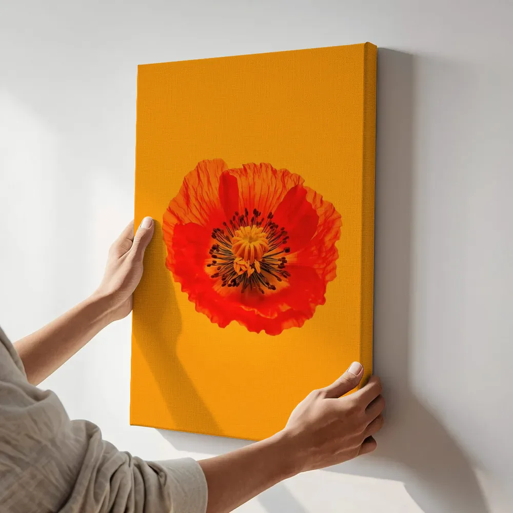 Sfeerimpressie: Rode klaproos op oranje terwijl het aan de muur wordt gehangen