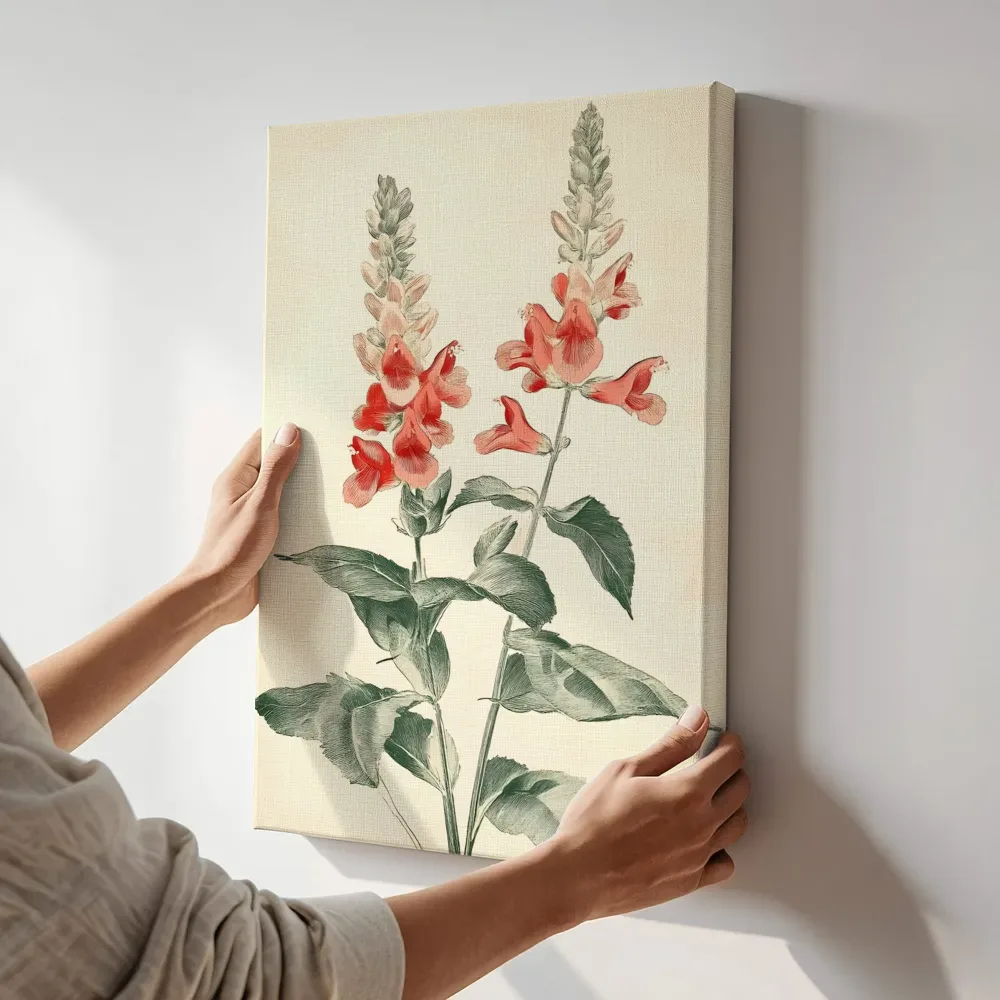 Sfeerimpressie: Rode salie vuur botanisch terwijl het aan de muur wordt gehangen