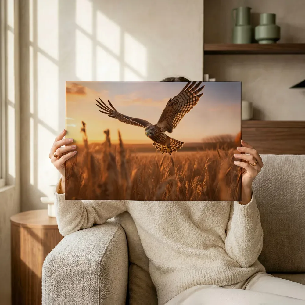 Sfeerimpressie: Roofvogel boven het veld terwijl het omhoog wordt gehouden