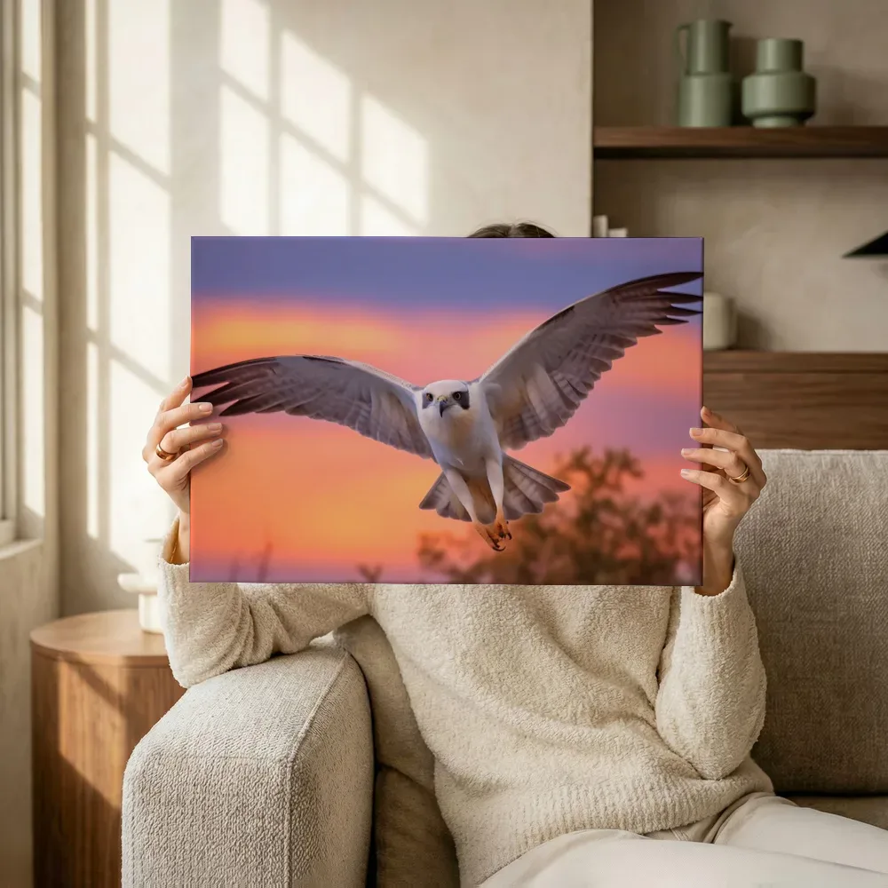 Sfeerimpressie: Roofvogel in vlucht terwijl het omhoog wordt gehouden