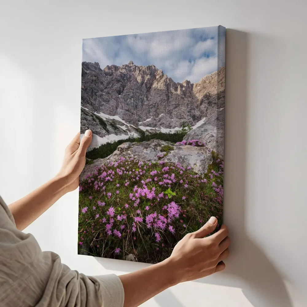 Sfeerimpressie: Roze alpenbloemen tegen ruige bergwand terwijl het aan de muur wordt gehangen