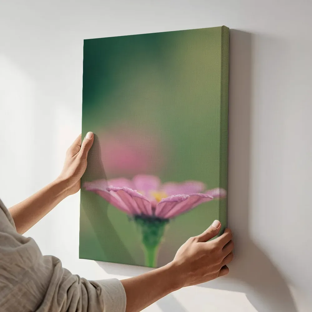 Sfeerimpressie: Roze madeliefje in close-up terwijl het aan de muur wordt gehangen