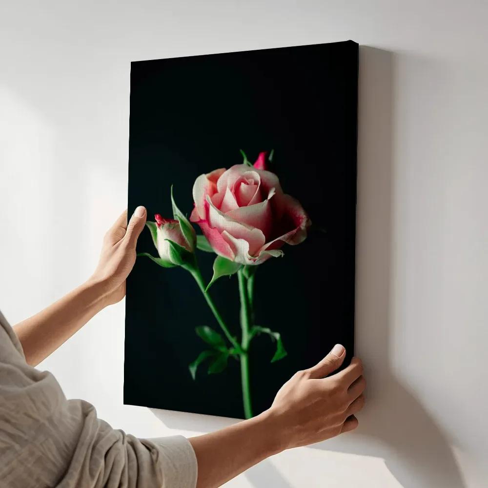 Sfeerimpressie: Roze roos in het duister terwijl het aan de muur wordt gehangen