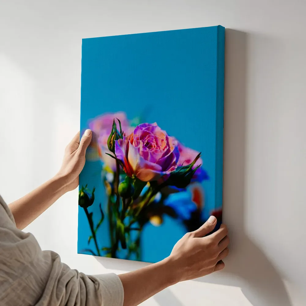 Sfeerimpressie: Roze rozen tegen een stralend blauwe lucht terwijl het aan de muur wordt gehangen