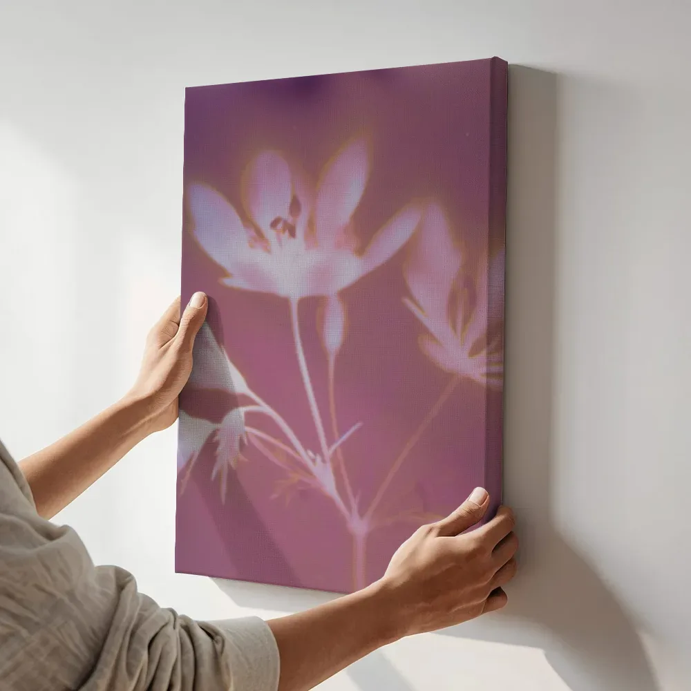 Sfeerimpressie: Roze sterbloesem terwijl het aan de muur wordt gehangen