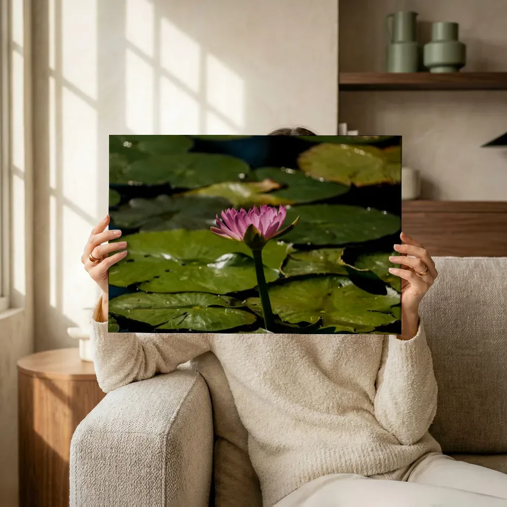 Sfeerimpressie: Roze waterlelie tussen drijfbladeren terwijl het omhoog wordt gehouden