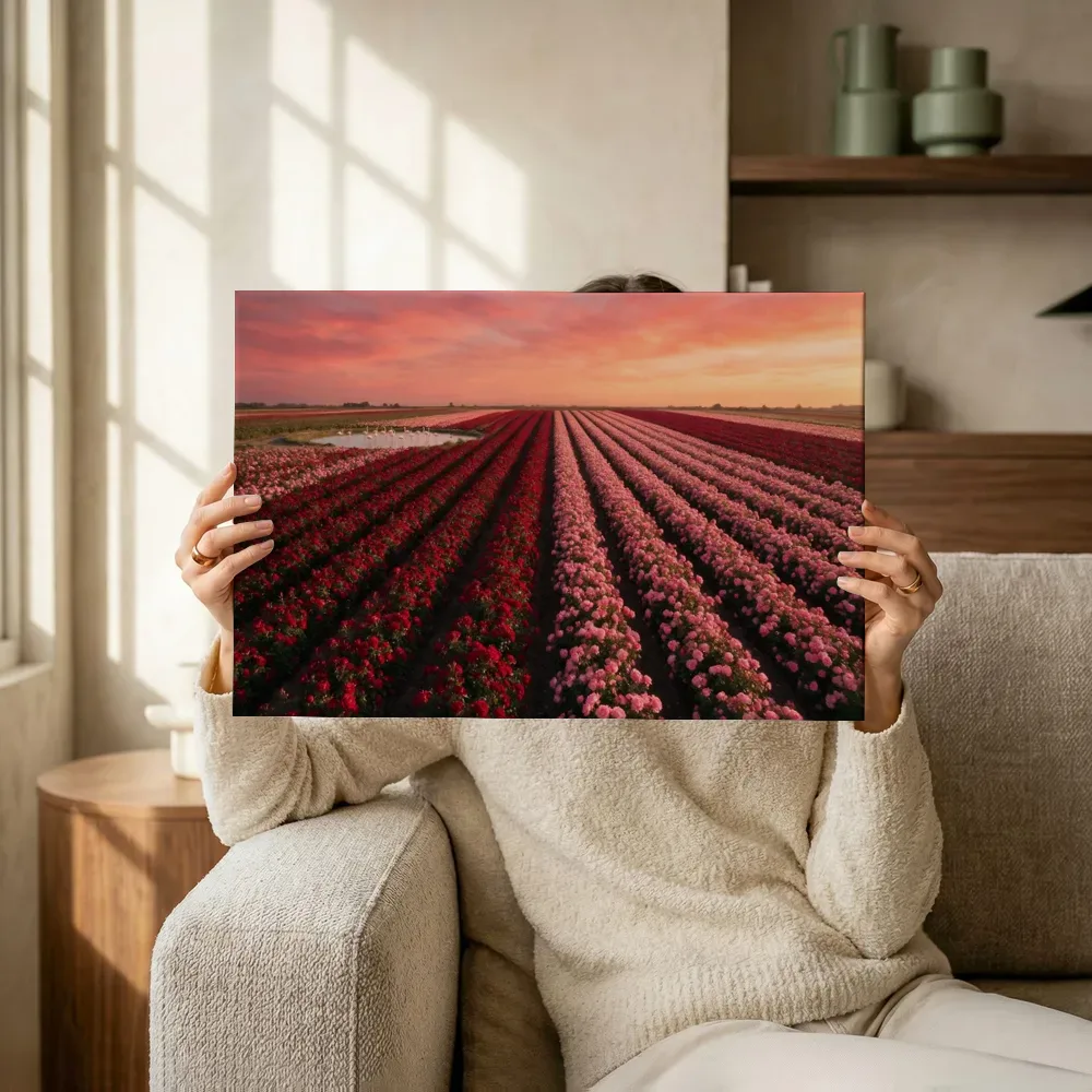 Sfeerimpressie: Rozen bij de zonsondergang 4 terwijl het omhoog wordt gehouden