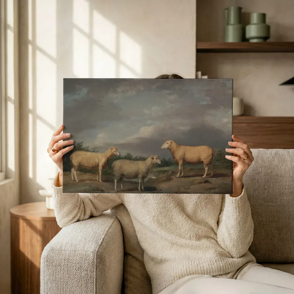 Sfeerimpressie: Ryelands-schapen van James Ward terwijl het omhoog wordt gehouden