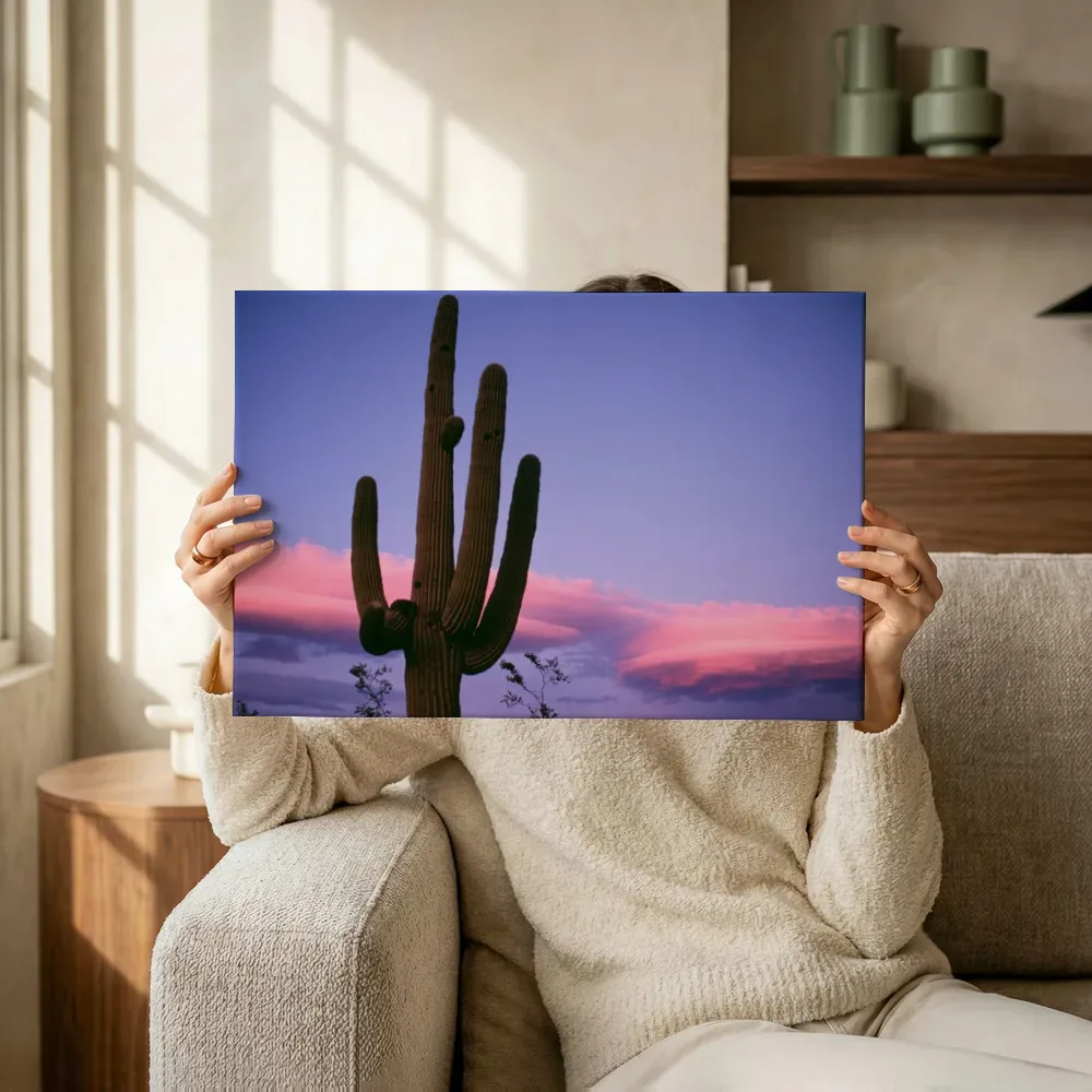 Sfeerimpressie: Silhouet van een saguaro cactus bij zonsondergang terwijl het omhoog wordt gehouden