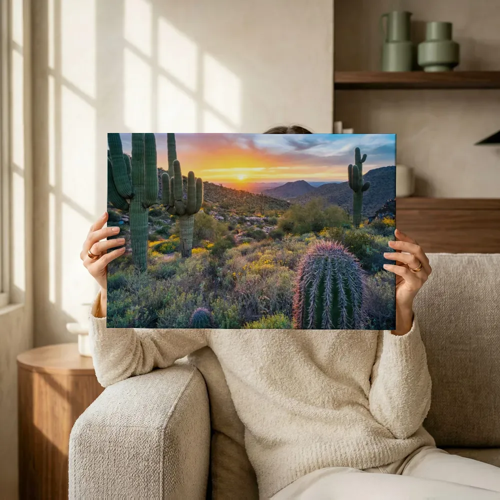 Sfeerimpressie: Saguaro cactussen bij zonsondergang terwijl het omhoog wordt gehouden