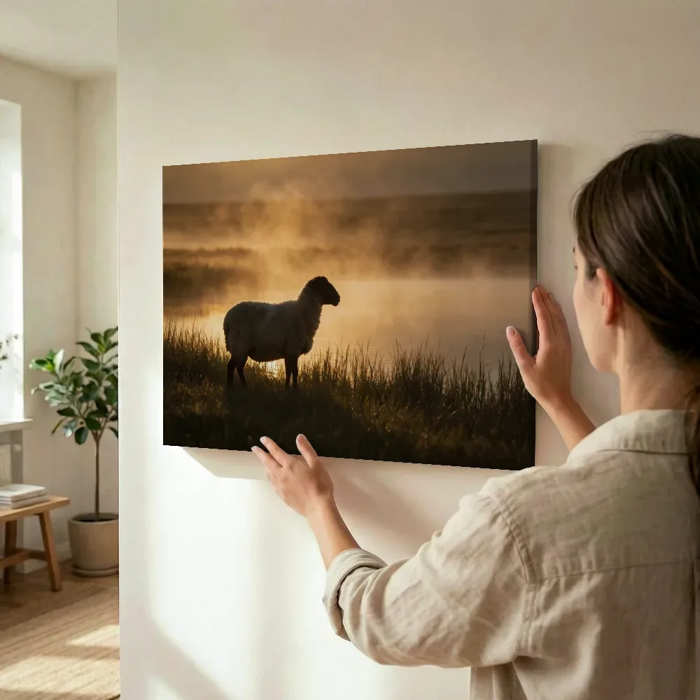 Sfeerimpressie: Schaap en profil, de ochtendmist terwijl het wordt opgehangen