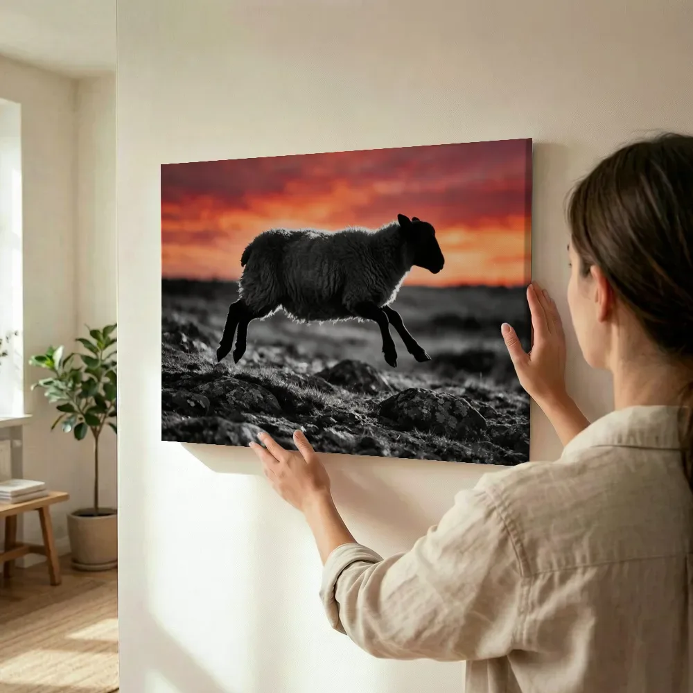 Sfeerimpressie: Schaap in de sprong, een silhouet tegen een vurige zonsondergang 2 terwijl het wordt opgehangen