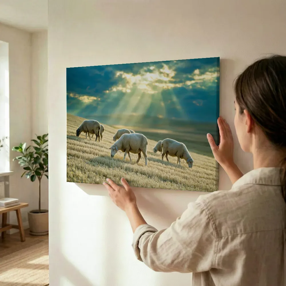 Sfeerimpressie: Schaap in het veld, lichtbundels door de wolken terwijl het wordt opgehangen