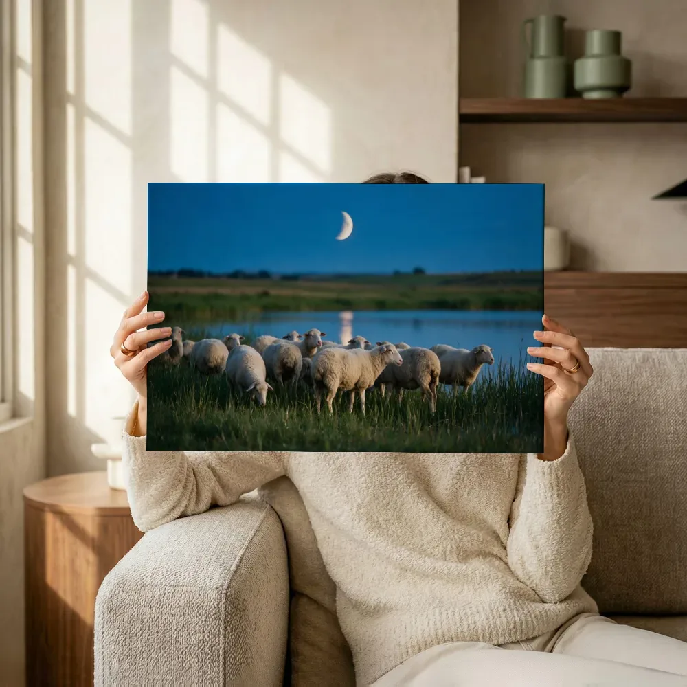 Sfeerimpressie: Schaap op afstand, het blauwe uur met een maansikkel terwijl het omhoog wordt gehouden