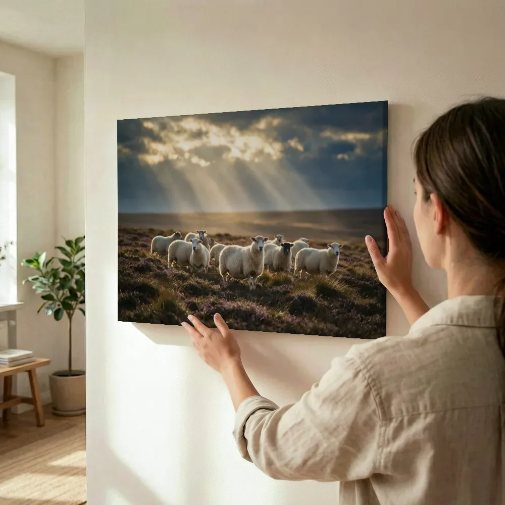 Sfeerimpressie: Schaap op afstand, lichtbundels door de wolken terwijl het wordt opgehangen