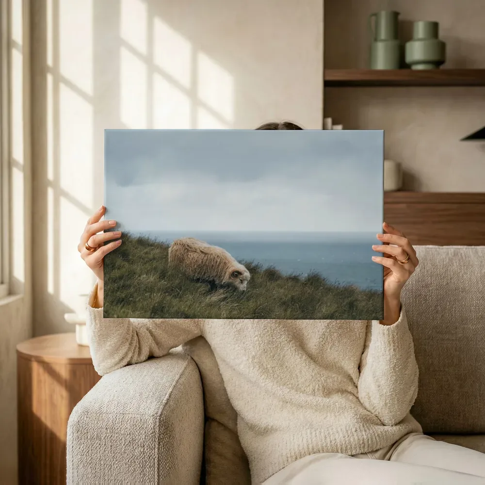 Sfeerimpressie: Schaap op de kliffen bij de zee terwijl het omhoog wordt gehouden