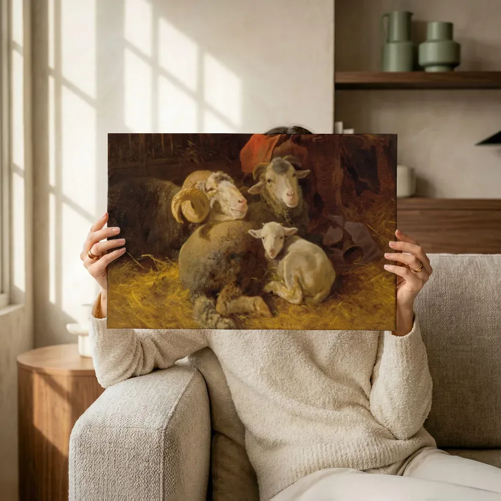 Sfeerimpressie: Schapen in de stal van Anton Schrodl terwijl het omhoog wordt gehouden