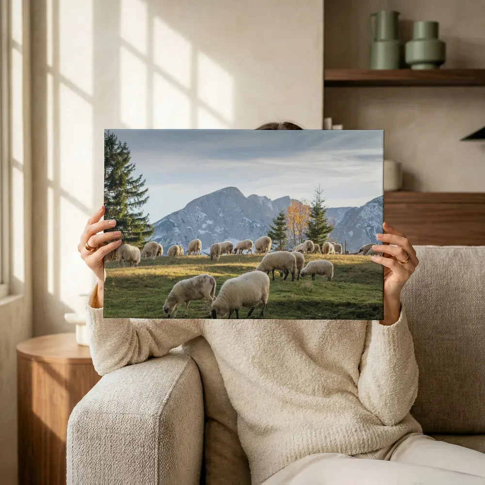 Sfeerimpressie: Schapenkudde in alpenweide terwijl het omhoog wordt gehouden