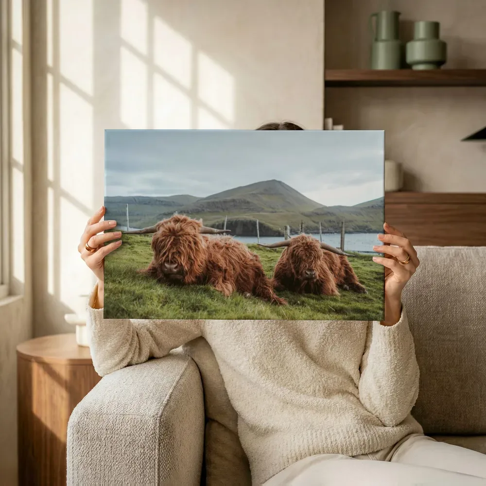 Sfeerimpressie: Schotse hooglanders bij het water terwijl het omhoog wordt gehouden