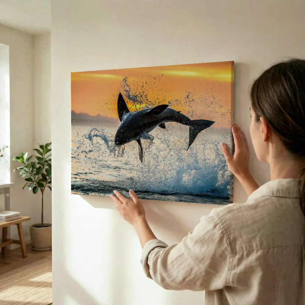Sfeerimpressie: Springende orka bij zonsondergang terwijl het wordt opgehangen