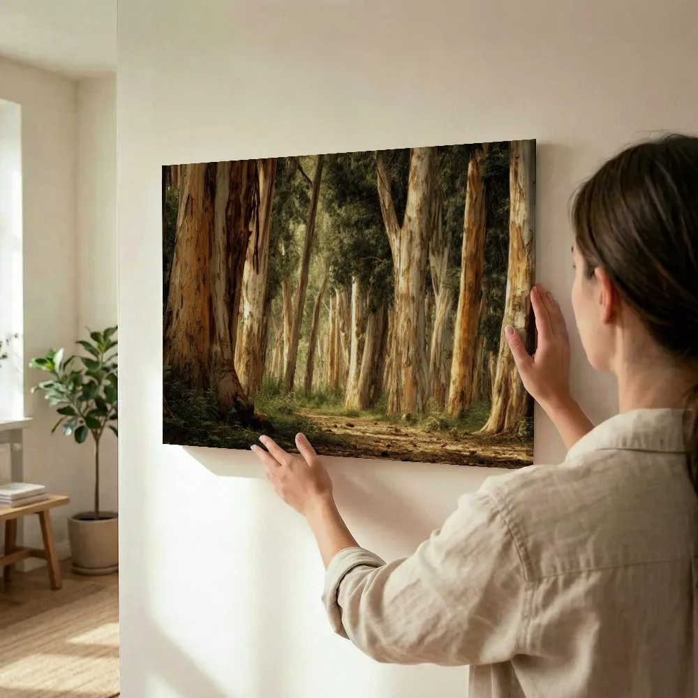 Sfeerimpressie: Statige eucalyptuslaan terwijl het wordt opgehangen