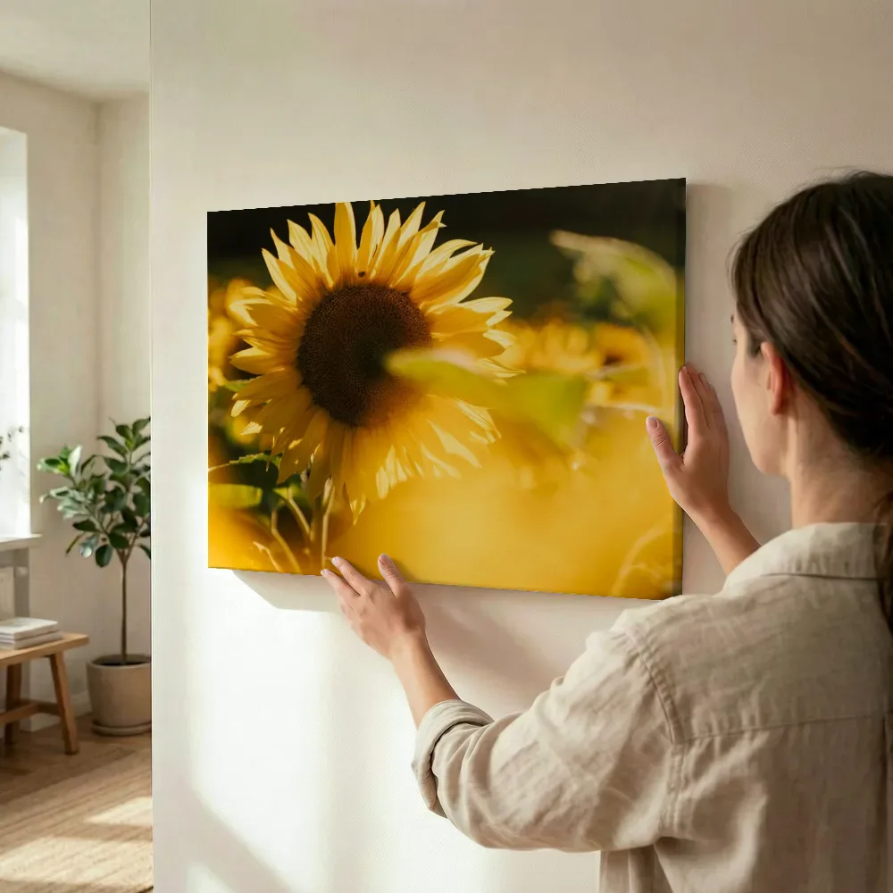 Sfeerimpressie: Stralende zonnebloem in close-up terwijl het wordt opgehangen
