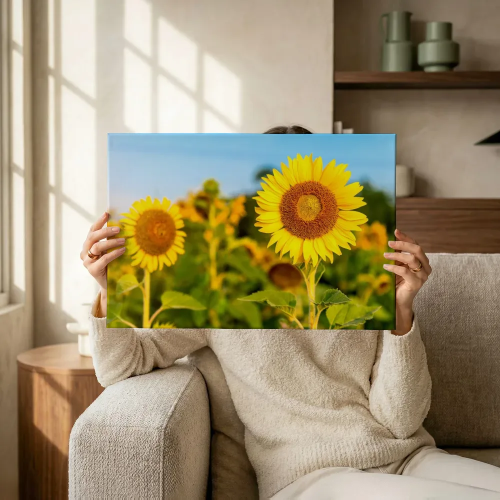 Sfeerimpressie: Stralende zonnebloemen terwijl het omhoog wordt gehouden