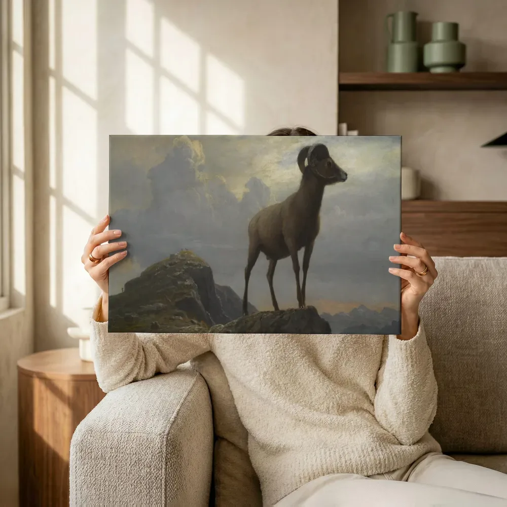 Sfeerimpressie: Studie van een dikhoornram van Albert Bierstadt terwijl het omhoog wordt gehouden