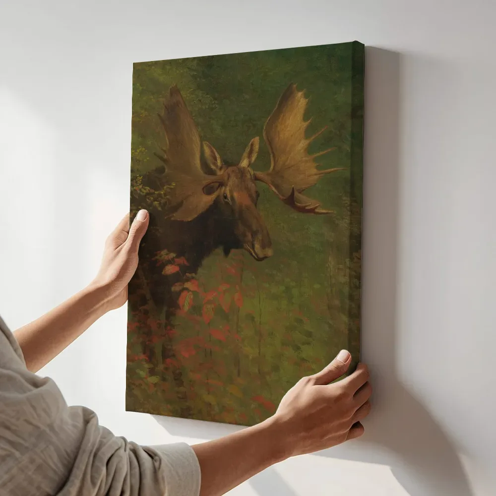 Sfeerimpressie: Studie van een eland van Albert Bierstadt terwijl het aan de muur wordt gehangen