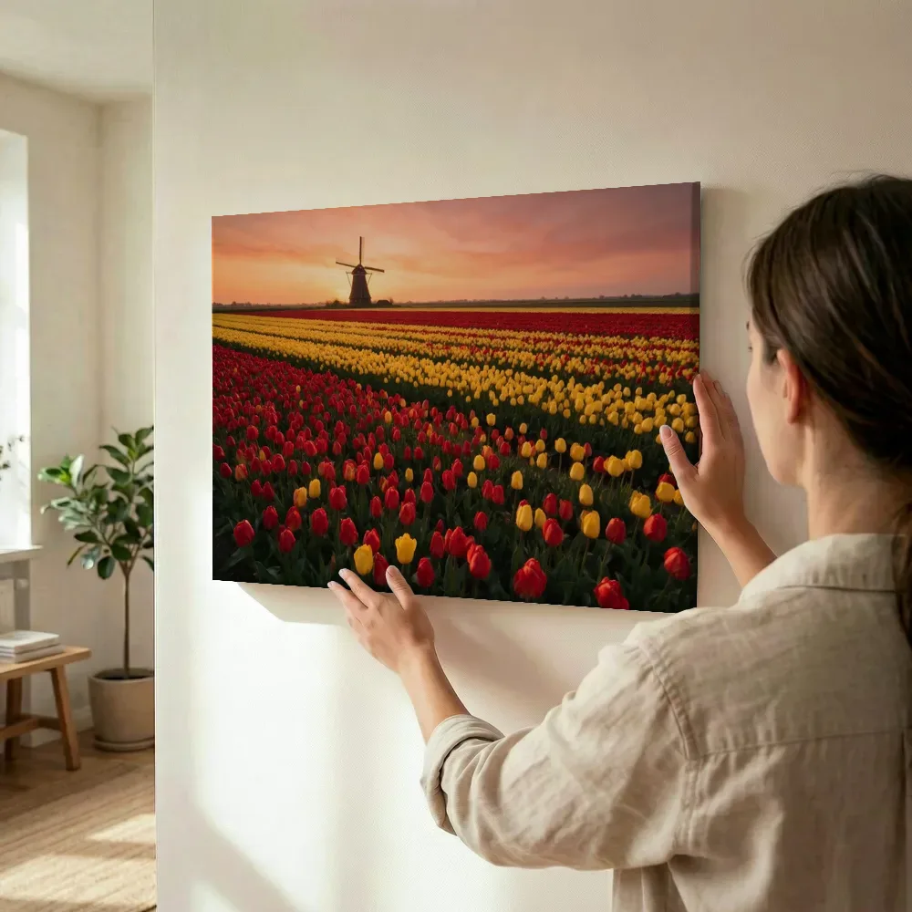 Sfeerimpressie: Tulp bij de zonsondergang 15 terwijl het wordt opgehangen