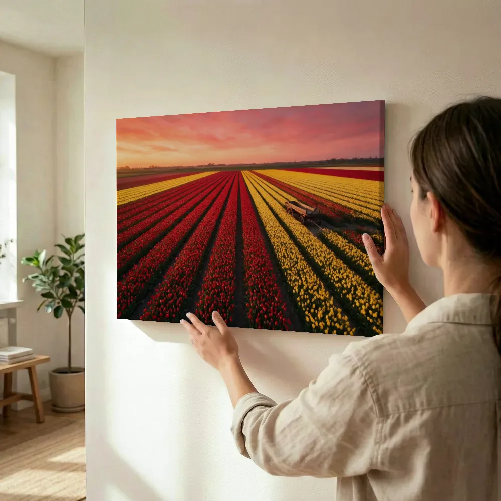 Sfeerimpressie: Tulp bij de zonsondergang 17 terwijl het wordt opgehangen