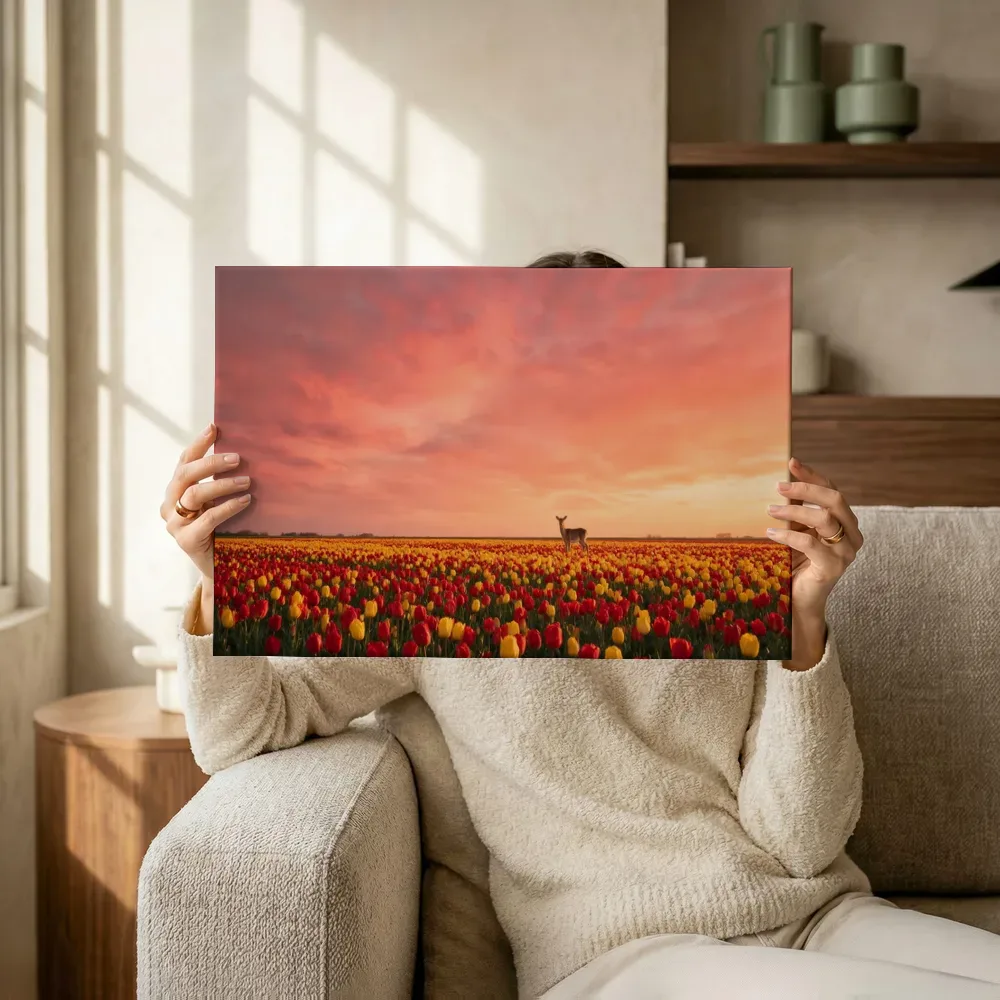 Sfeerimpressie: Tulp bij de zonsondergang terwijl het omhoog wordt gehouden