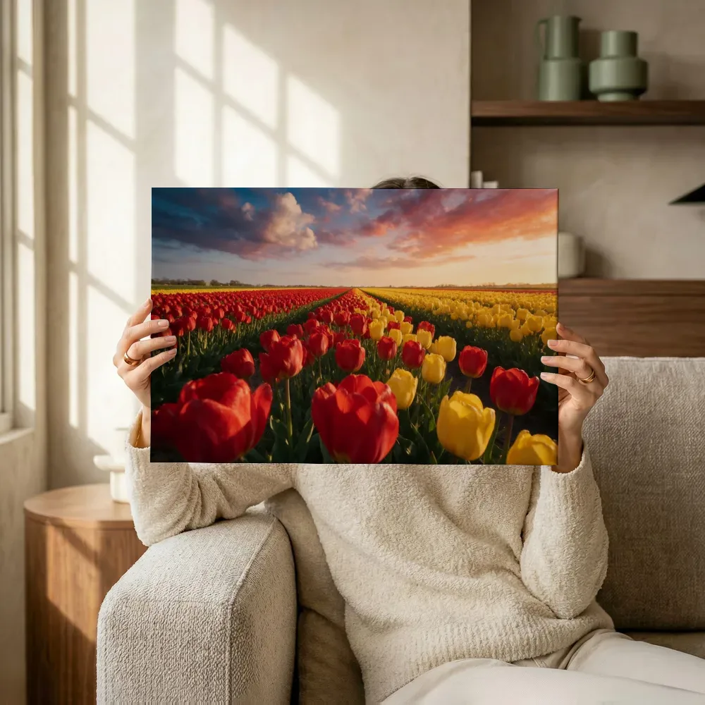 Sfeerimpressie: Tulp bij het gouden uur 5 terwijl het omhoog wordt gehouden