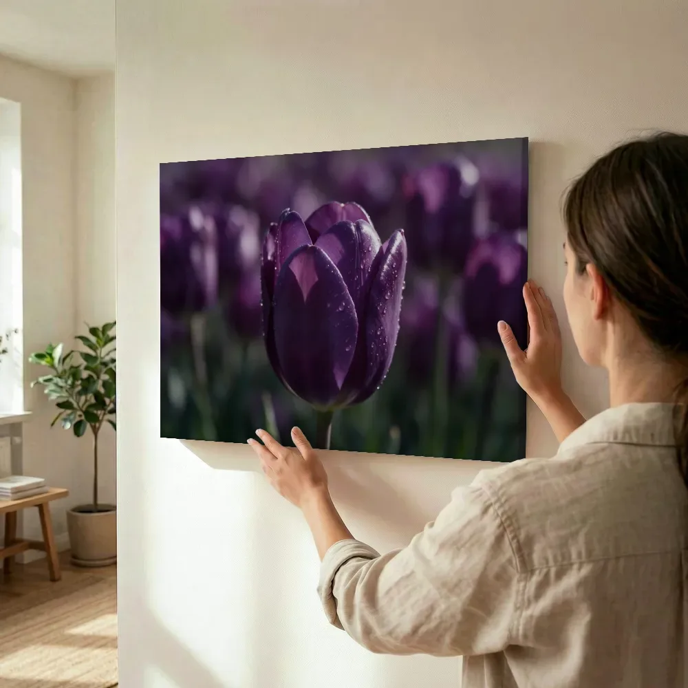 Sfeerimpressie: Tulp in dauw, glinsterlicht, dieppaars terwijl het wordt opgehangen