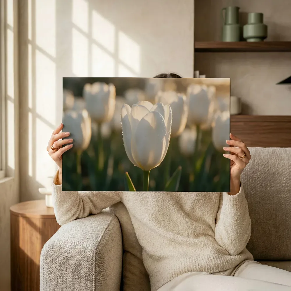 Sfeerimpressie: Tulp in dauw, gouden gloed, wit terwijl het omhoog wordt gehouden
