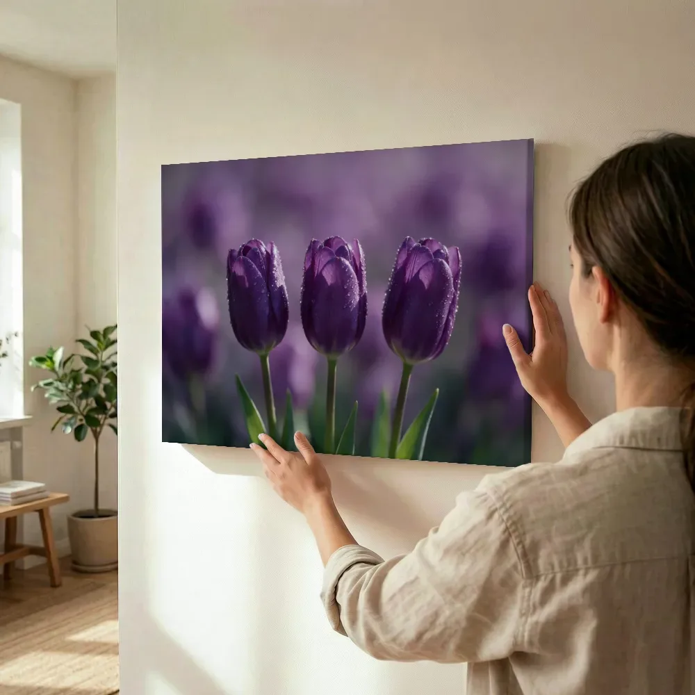 Sfeerimpressie: Tulp in de dauw, dieppaars 2 terwijl het wordt opgehangen