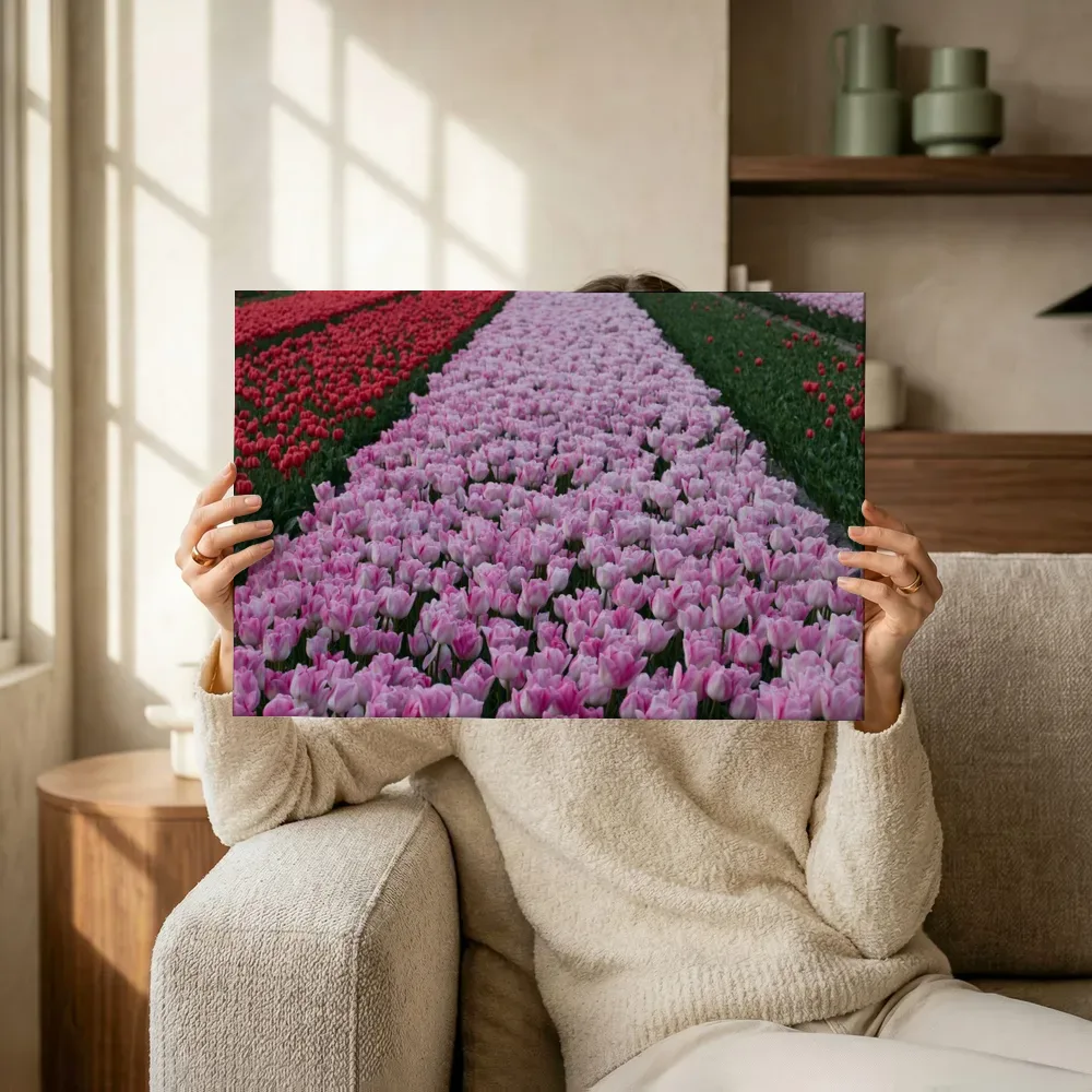 Sfeerimpressie: Tulpenrijen tot aan de horizon terwijl het omhoog wordt gehouden