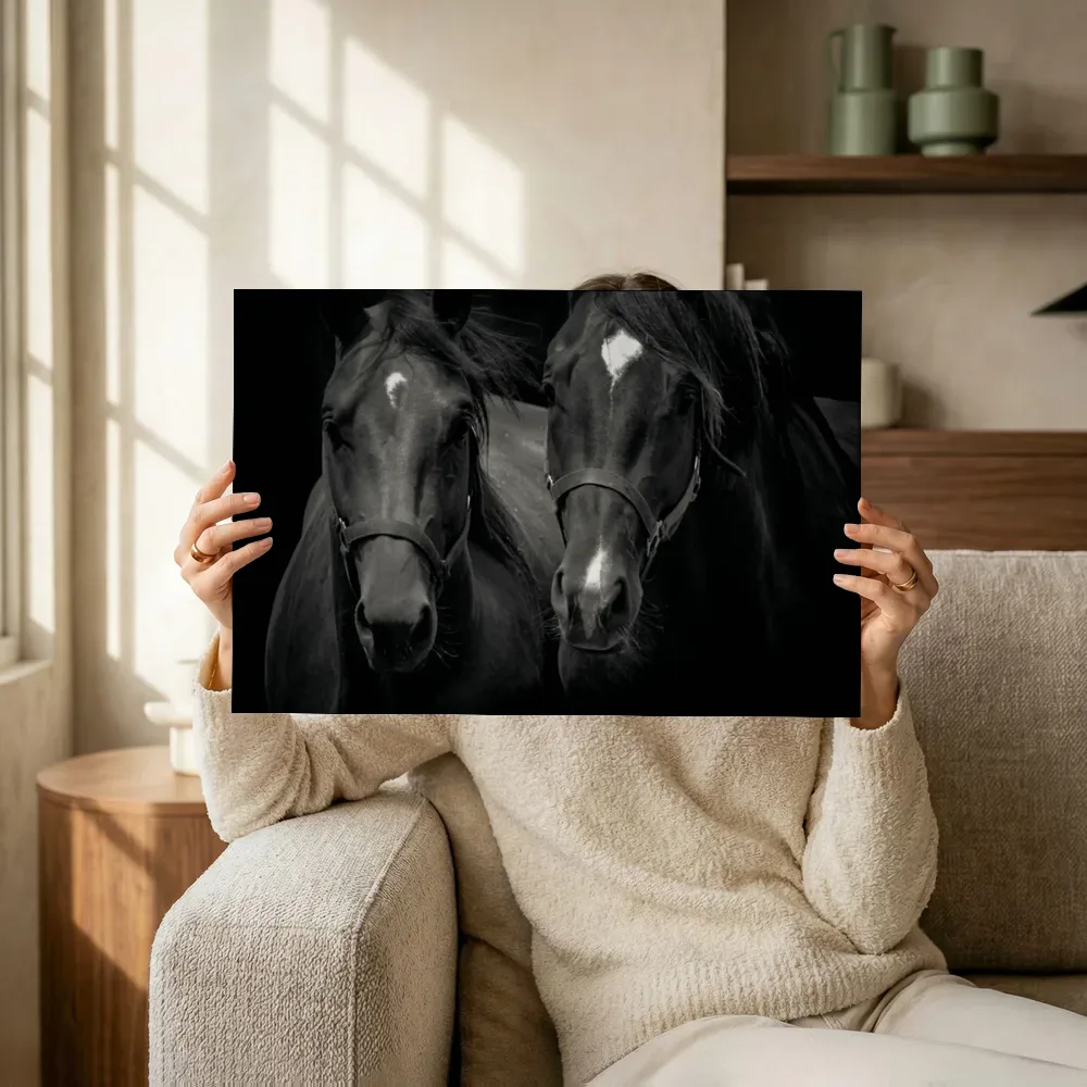 Sfeerimpressie: Twee paarden in zwart-wit terwijl het omhoog wordt gehouden