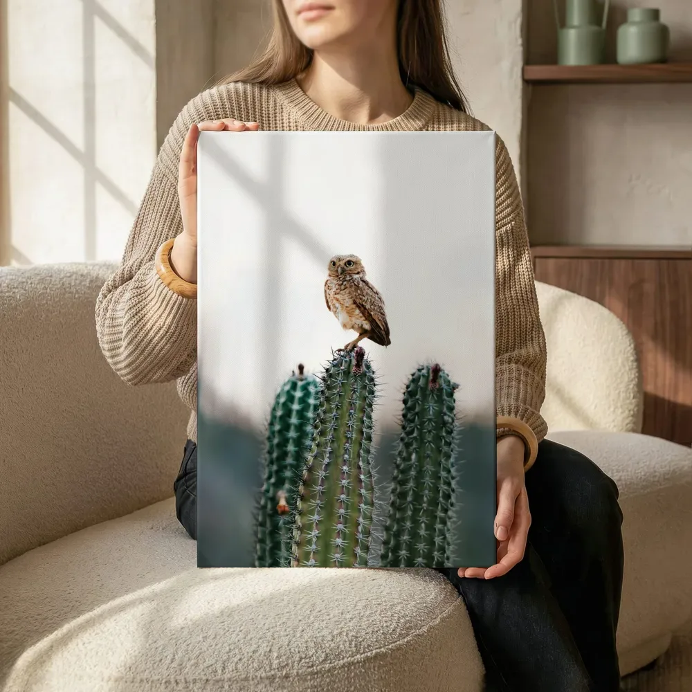 Sfeerimpressie: Uil op de cactus terwijl het zittend wordt getoond